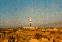 fdelta6